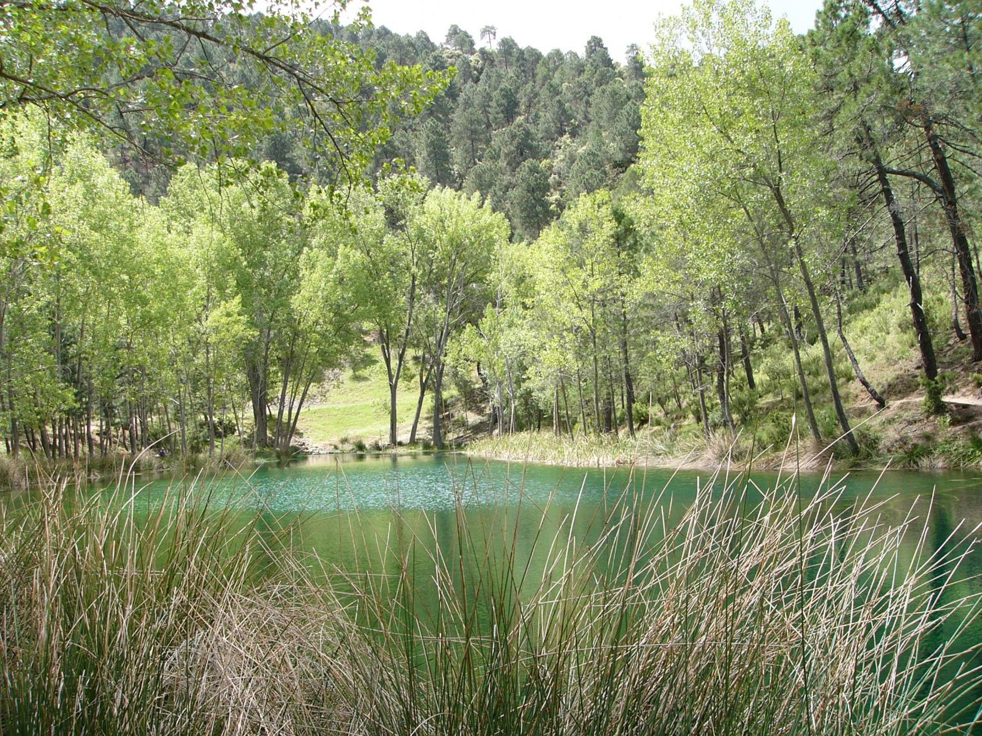 El Enebro Βίλα Villaverde De Guadalimar Εξωτερικό φωτογραφία